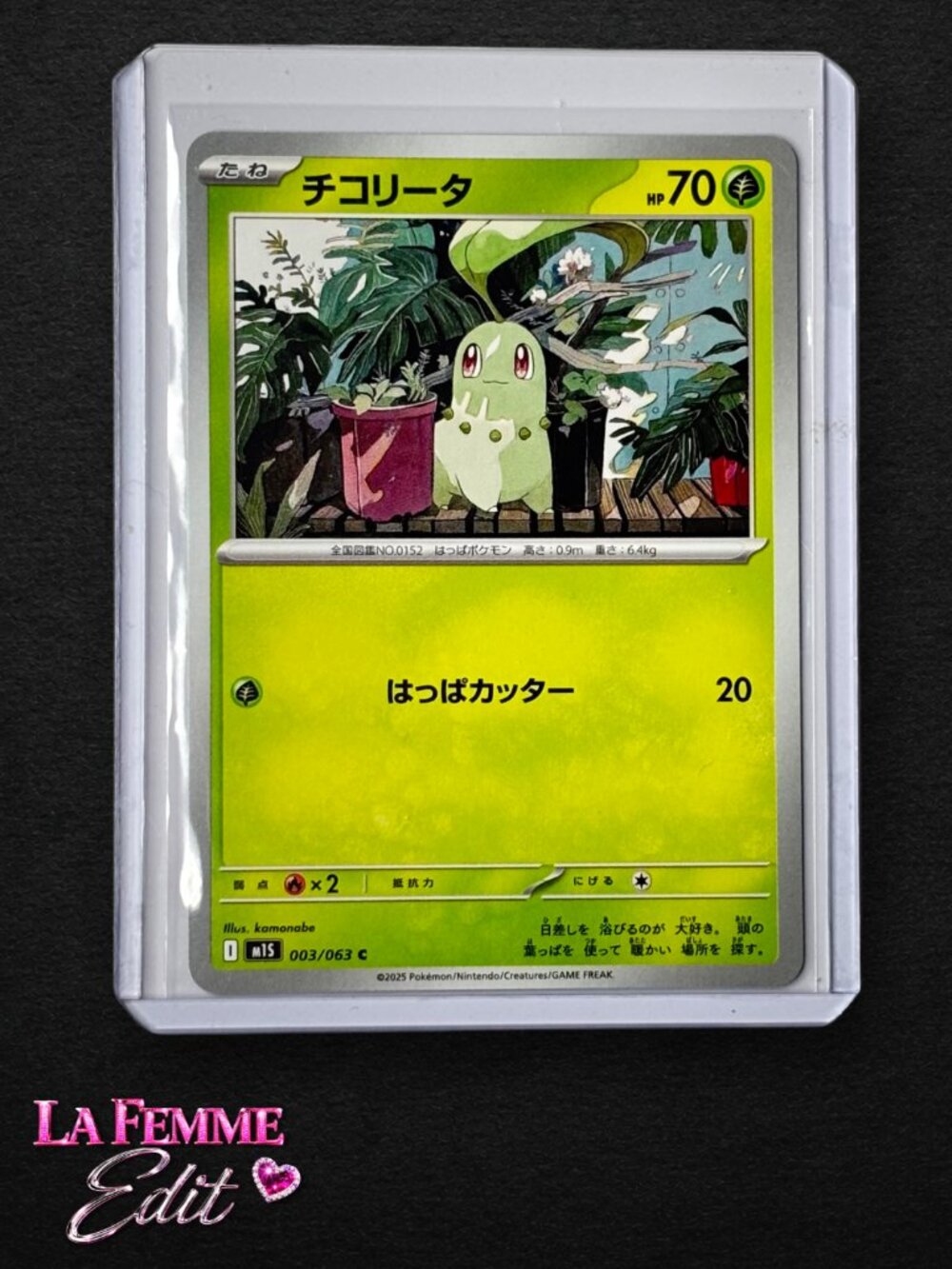 Pokemon Card Chikorita 003/063 JPN
